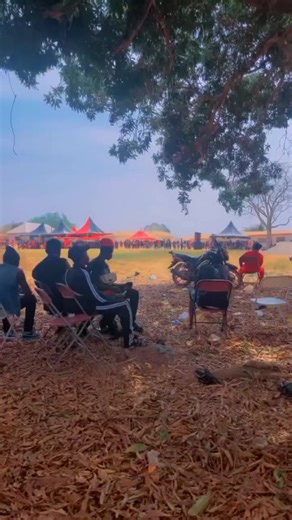 BIRDMAN 🇬🇧 (@mrbirdman08)’s videos with original sound - ♤ CYPHER ☆ LYRICS ♧🇬🇭