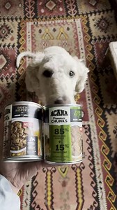 From wet food to freeze-dried food and kibble, every ACANA recipe is packed with wholesome ingredients to create a balanced meal your pup will love! 🐶💚 📹: alexisdeboschnek | ACANA Pet Foods