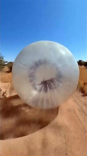 Spike Man’s Epic Journey Through the Animal World | Action Adventure