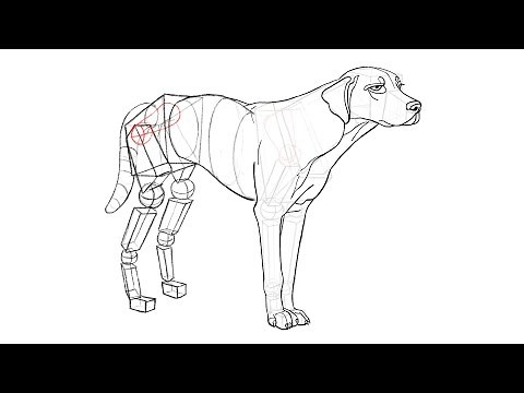 Comment dessiner un chien ?