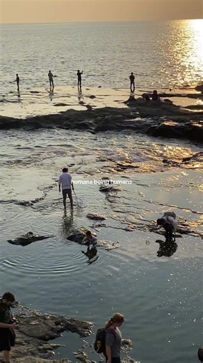 Humans Being Humans: Cute Moments of Humanity