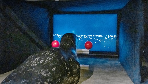 Seals Playing Video Games For Science? We've Got The Footage To Prove It