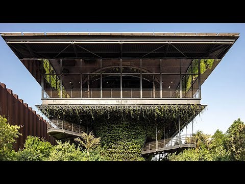 Take a virtual tour of the Singapore Pavilion at Expo 2020 Dubai