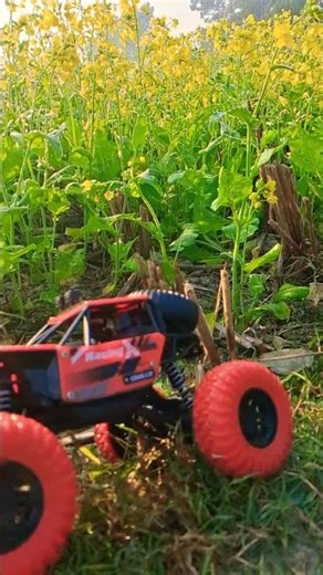 RC monster track off-road ll #rcdrone #rcoffoad #4x4rwd #rctoys #dji