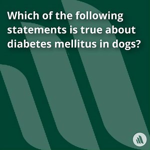 Leave your answer in the comments and we'll publish the correct answer tomorrow! Continue to test your knowledge here: https://mrkmnls.co/2BuBB1u | The Merck Veterinary Manual