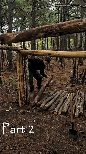 I Built a Cozy Cabin Alone in the Wild #survival #alaska #unitedstates