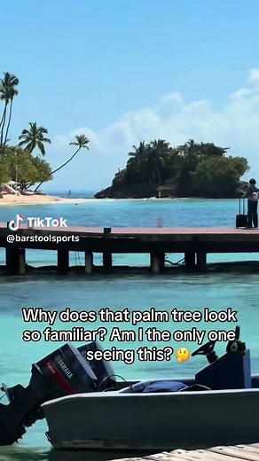 Why Do Palm Trees Look Familiar? Discover the Connection