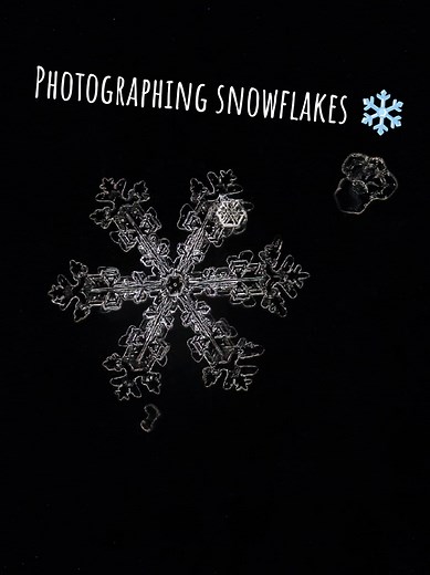 Mastering the Art of Snowflake Photography
