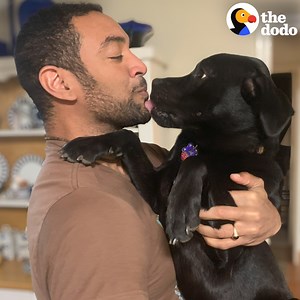 This rescue puppy kept getting returned again and again — until he found someone who wouldn’t give up on him 💜 | The Dodo