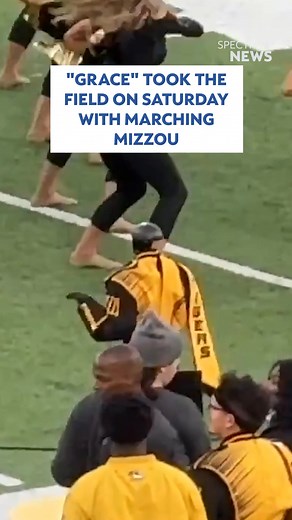 Check this out! Marching Mizzou performed with a robot from the School of Engineering at halftime Saturday. According to Mizzou's website, "Grace" is a humanoid robot from Unitree Robotics. It was dressed in the school's iconic black-and-gold uniform and took the field with the others. | Spectrum News Kansas City