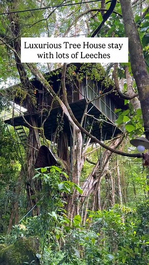 Luxurious Tree House stay with lots of Leeches😭 For more updates follow @vlogwithpoonam 📍Vythiri resort #pune #punekars #treehouse #kerala #travel | Vlogwithpoonam
