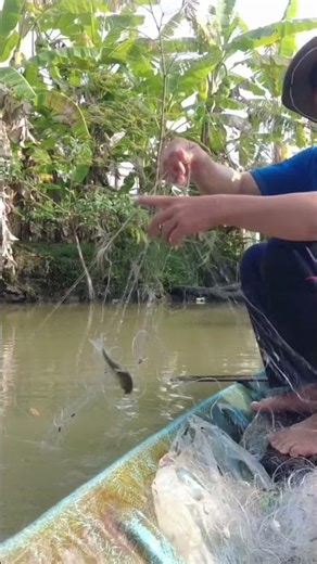 con này cũng ngon rồi#short