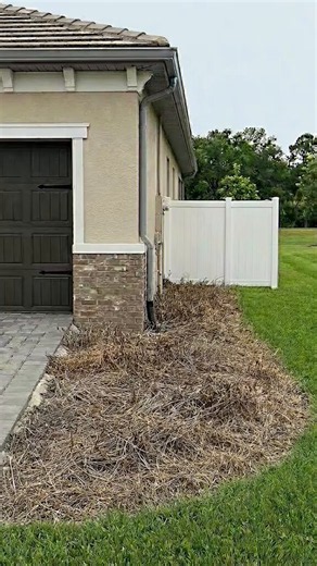 If your neighbors ruin your lawn, just build something beautiful.