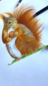 56 reactions | Nut your average art! ️✍ This red squirrel is 'cracking' us up with its adorable nutty charm. Artist: art.byellennn | Castle Arts | Facebook