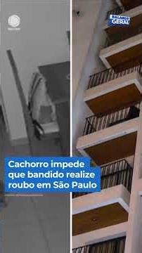 Cachorro impede que bandido realize roubo em São Paulo #shorts #balancogeral