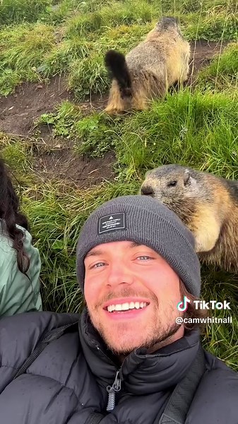 Capturing Marmots with Nikon Zf Camera | Wildlife Photography