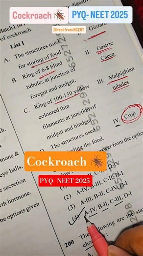 Cockroach Neet 2025 Question #neet2026 #ytshorts #neetbiology #dailyshorts #ytshorts #shorts #NEET