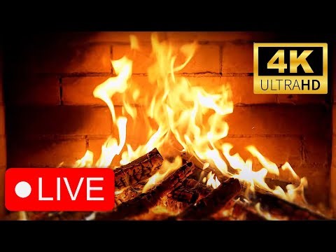 LIVE 🔥 Cozy Real Fireplace + Crackling Fire Sounds | 24/7 Warm Ambience for Sleep & Relaxation