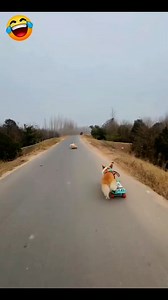 2.5K views · 33 reactions | Wait wait  #funny #comedy | Solomon Dauda | Facebook