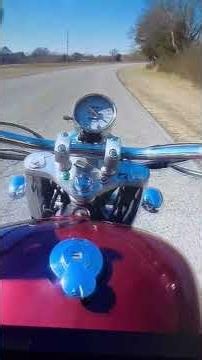 Bellamy Brothers you ain’t just whistling Dixie #motovlogalabama #bluecollarbiker