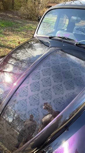 MetalMorphosis Customs on Instagram: "For a chance to win one of our future builds, visit charity beetle dot com or find the link in our bio. This is Luci - she's already sold but we have some awesome builds coming up."