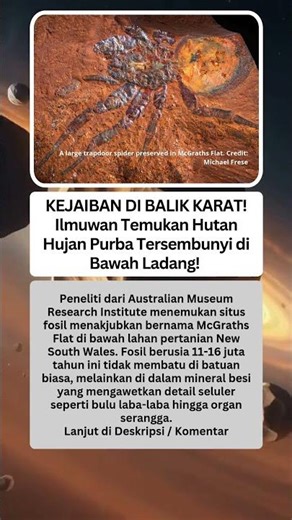 KEJAIBAN DI BALIK KARAT! Ilmuwan Temukan Hutan Hujan Purba Tersembunyi di Bawah Ladang!