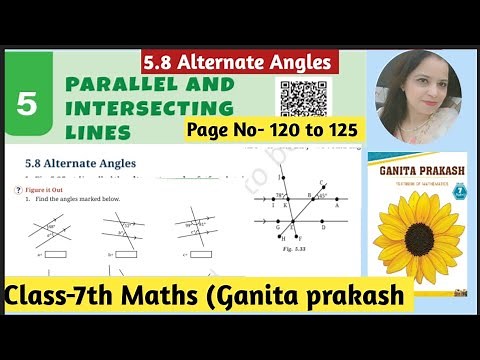 Ncert Class -7th Maths Ganita Prakash Chapter -5 Parallel And Intersecting Lines | 5.8 Solution