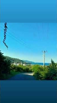 Solitude, Black Sabbath, Perşembe, Ordu, photo: Sarıbay