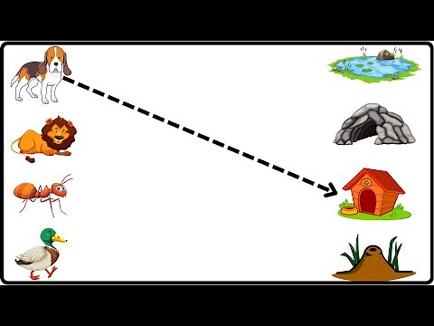 Match the Animals with their Homes | Animals and Their Homes | worksheet | toppo kids