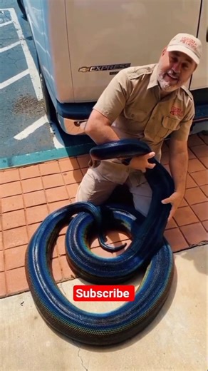 Har har Mahadev beutiful python 🐍🐍🤯🤯#viral #shorts #trending #trendingshorts #snake #nature