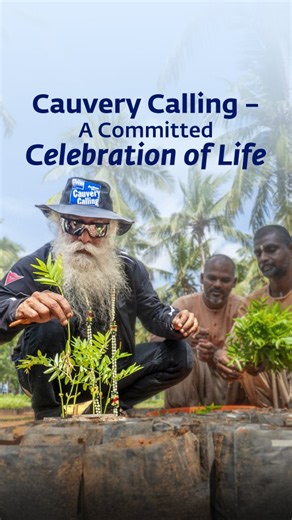 118K views · 2.7K reactions | A generational commitment and a celebration of life, Cauvery Calling is dedicated to revitalizing our rivers, soil, and agriculture – the biggest gift we can offer to the future generations. Be part of this celebration – make Cauvery flow again. Donate Now: Link in Bio | Conscious Planet | Facebook