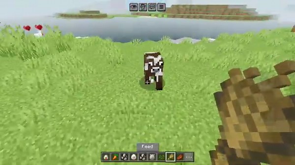 Fresh Animations For Minecraft PE 1.21+/ Minecraft