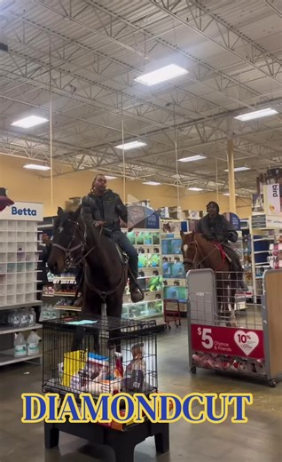 Enjoy a Day of Horseback Riding and Outdoor Adventures