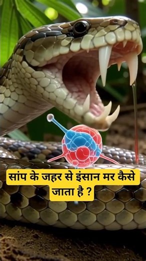 How Snake Venom Actually Kills You ? #shorts #animalshorts #facta