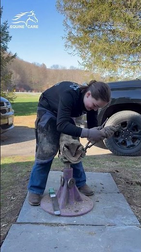 This is what hoof care looks like when it's done right.