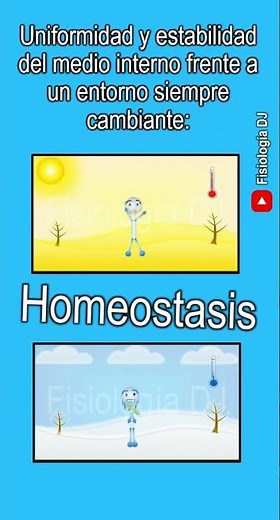 Homeostasis | Homeostasis fisiología | ¿Qué es la homeostasis?
