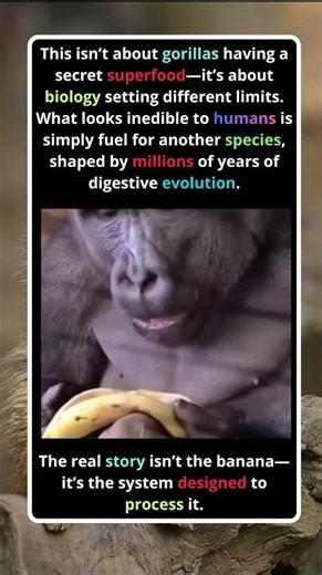 Why Gorillas Eat What Humans Avoid