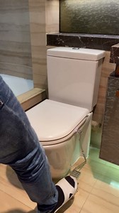 Stainless Steel Pedal for Toilet Seat Lifting & Closing - Rugged - Hands-Free - Foot-Operated - No More Bending Down - Great Gift for Couples