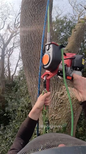 88K views · 945 reactions | This mature ash tree had broken multiple large limbs over the years damaging property. The local council agreed it was to be cut down for safety. @minor_punk8260 on the lowering rope and @mattscarvings on the logs #tree #treework #arb #arborculture #arborist #climb #climbing #treeclimbing #rope #knots #rigging #ropeaccess #chainsawman #lumberjack #woodworker #woodcraft #outdoors #rural #extremesports #height #work #workout #woodland #forestry | Perry trees | Facebook