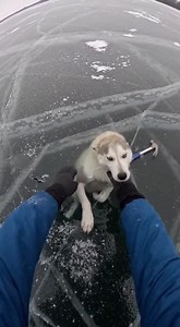 823K views · 321 reactions | A man is being hailed as a local hero...