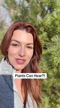 Plants can detect the exact sound of an insect chewing—and respond before they’re eaten.