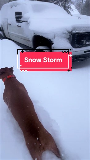 ….. an it’s still coming down yall. Can’t even tell we shoveled this am. 🙈😂😭 #NorthernMichiganISCLOSED