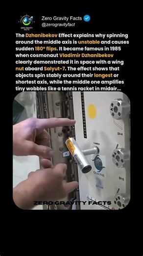 The Dzhanibekov Effect: The Strangest Physics Trick in Space?