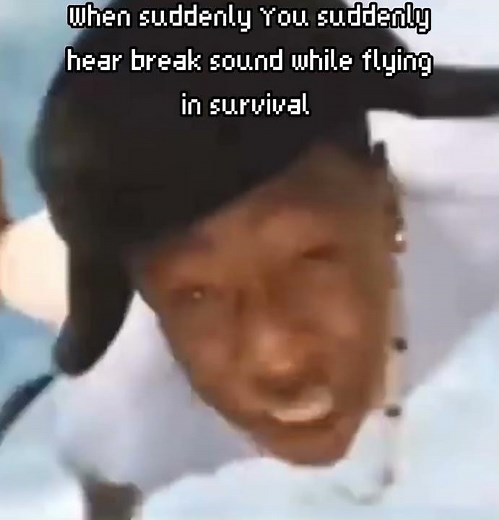 Tyler the creator falling from the sky meme....