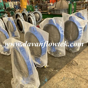 [Hot Item] EPDM Butterfly Valve Ductile Cast Iron Ggg50 Butterfly Valve Gear Manual Operation DN50-300 Pn10/Pn16/150lb Butterfly Valve Wafer Lug Flange Butterfly Valve