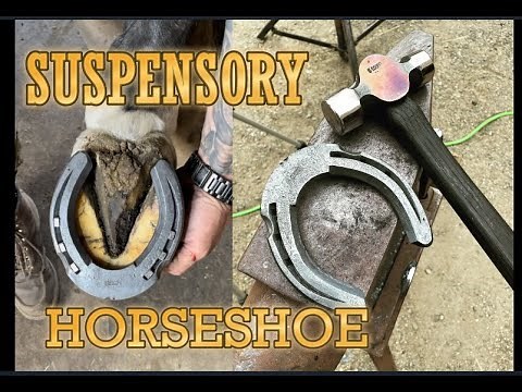 THERAPEUTIC SUSPENSORY HORSESHOE- for Horse with Suspensory Ligament Injury
