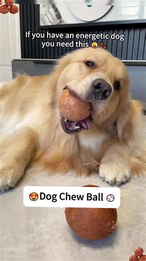A duck-meat chew ball dogs can eat and play with😍😛they can not get enough of it 🦆 delicious and fun #goldenretriever #dogtreats #dogtoy #dogtraining #dog