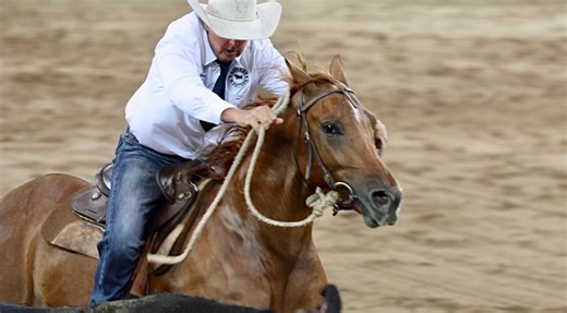 Last night had it all… with the Challenge Final having us on the edge of our seats 🔥 Tamworth Region Destination NSW Nutrien Equine - Performance Unicorn Video Productions | Australian Equine and Livestock Events Centre