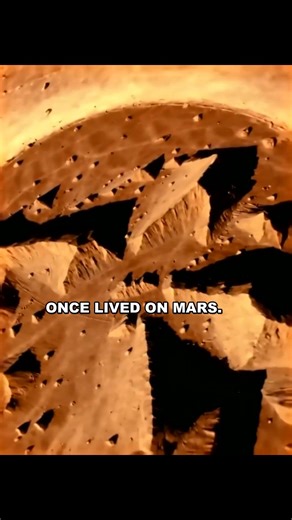 In 1976, NASA Photographed a FACE on Mars... 👁️ #12 #universe #spacefact #mars #nasa #aliens