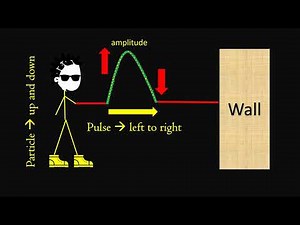 transverse waves grade 10 | transverse pulses